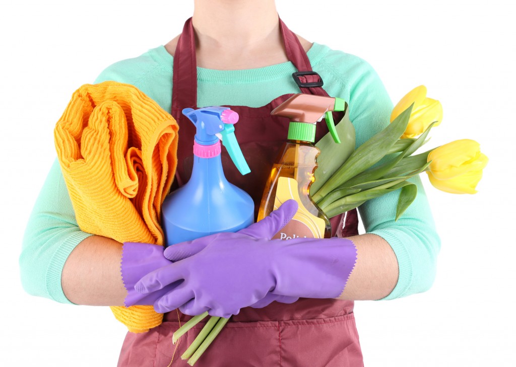 Housewife holding cleaning equipment in her hands. Conceptual
